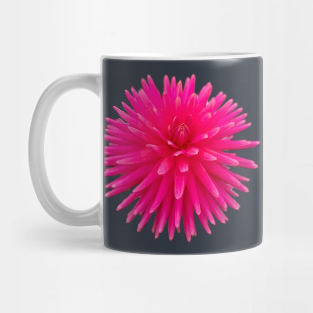 Red Spikes Dahlia Flower Photo Cutout by ellenhenryart